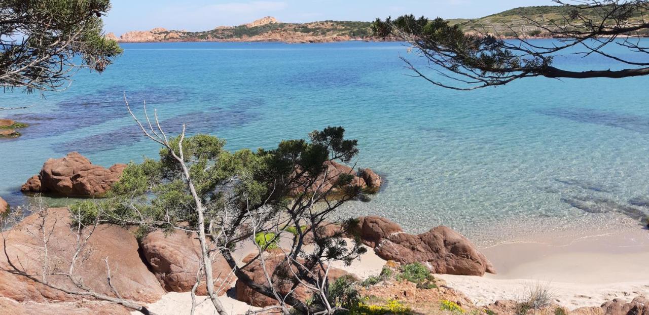 Mare Natura Confort... Il Mio Paradiso In Sardegna Isola Rossa Buitenkant foto
